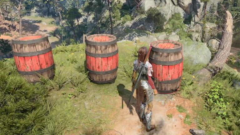 Baldur's Gate 3 : Comment récupérer et utiliser des barils