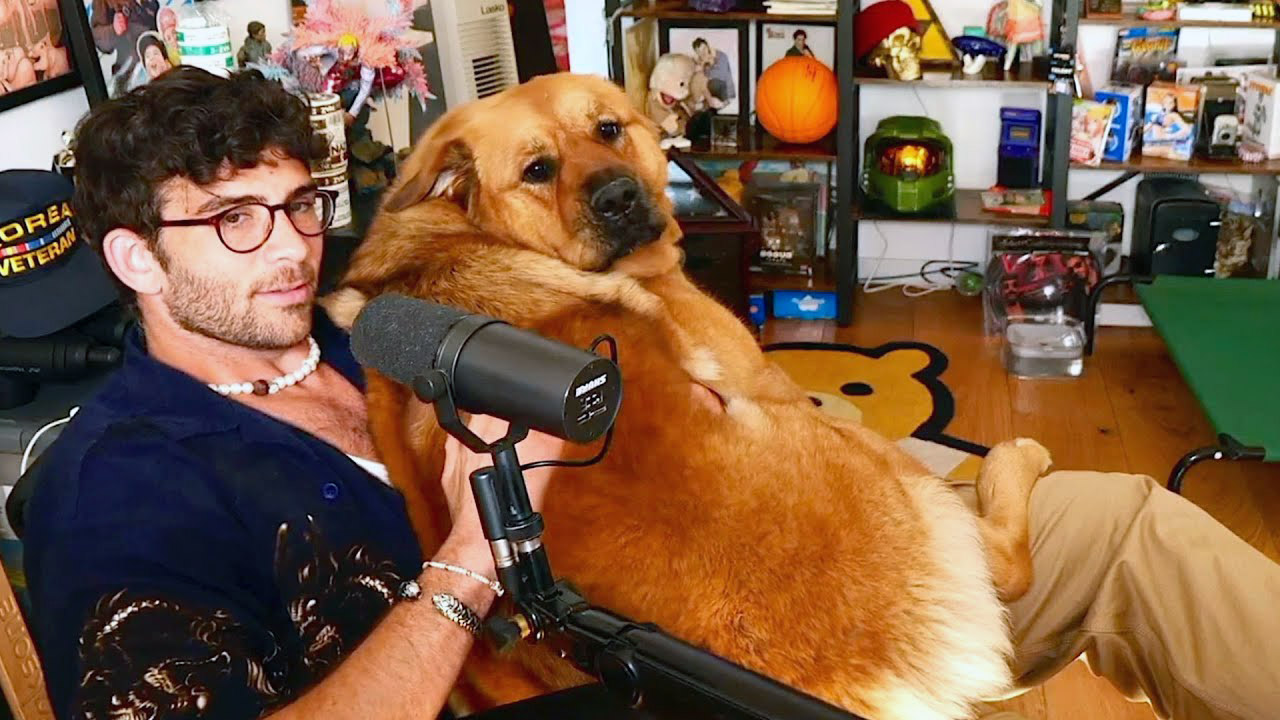 Twitch : HasanAbi accusé d’avoir électrocuté son chien pendant un stream
