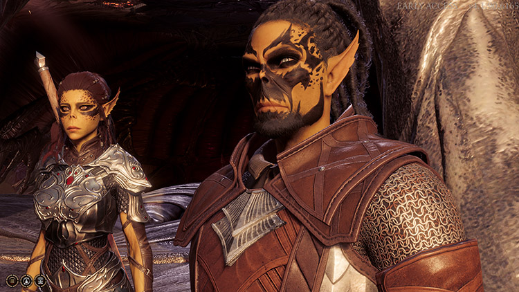 Guerrier : Chevalier Occulte - BG3