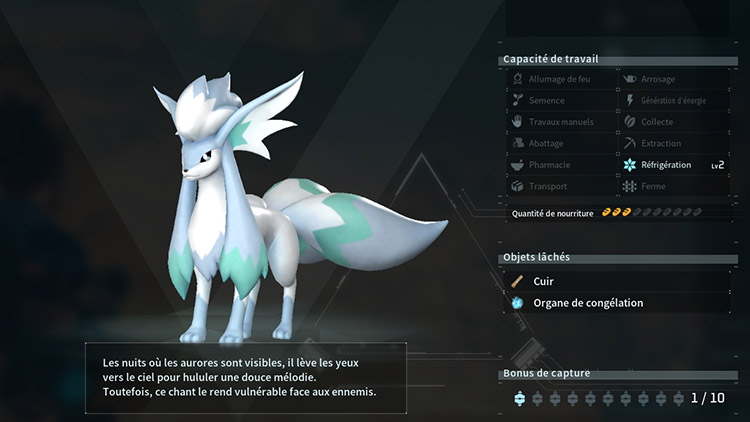 Capacités et compétences Foxcicle