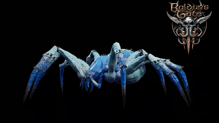 Araignée de Phase Matriache BG3