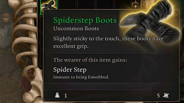 Bottes araignées BG3