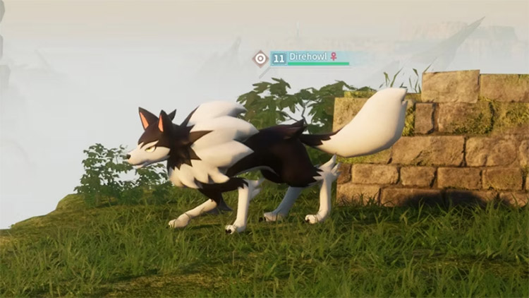 Attaques de Direhowl dans Palworld