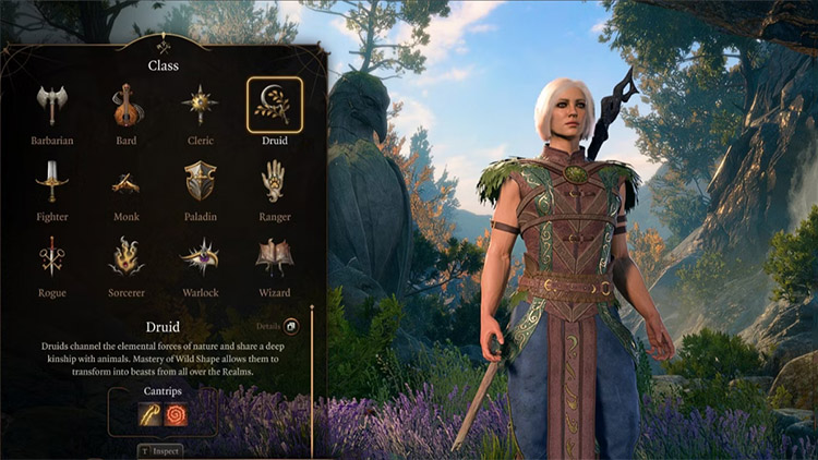 Compétences Druide BG3