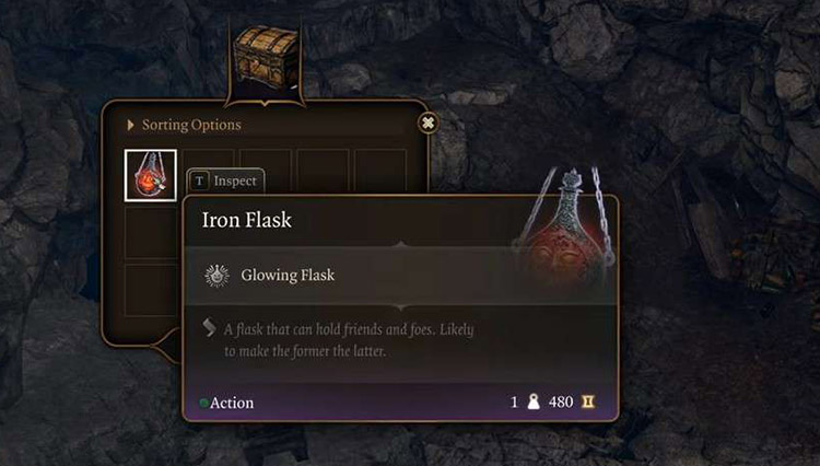 Flasque en fer utilisation - BG3