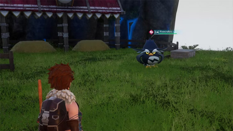 Les attaques Hootcrates - Palworld