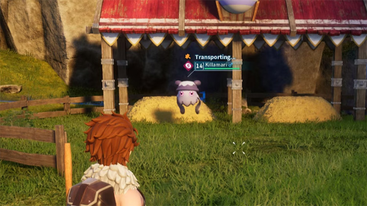 Compétences et attaques Killamari