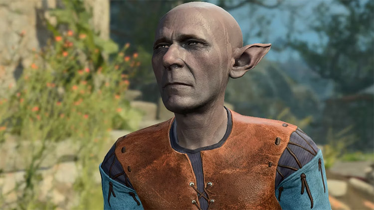 Meilleur Build Moine BG3